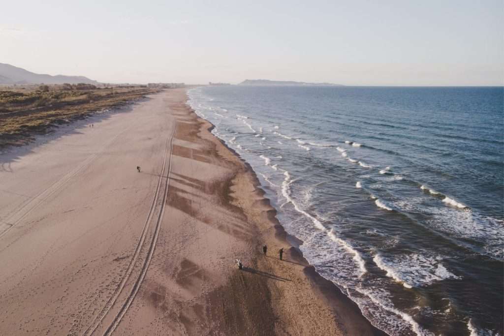 Strandremsa - strandskydd