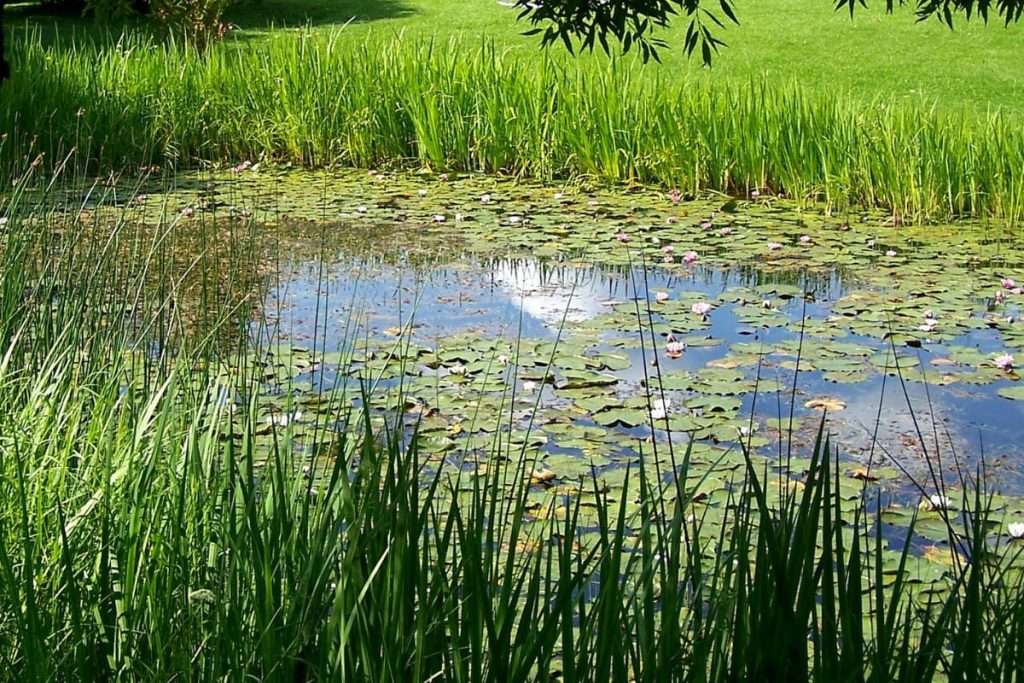 Sjö i strandskyddsområde