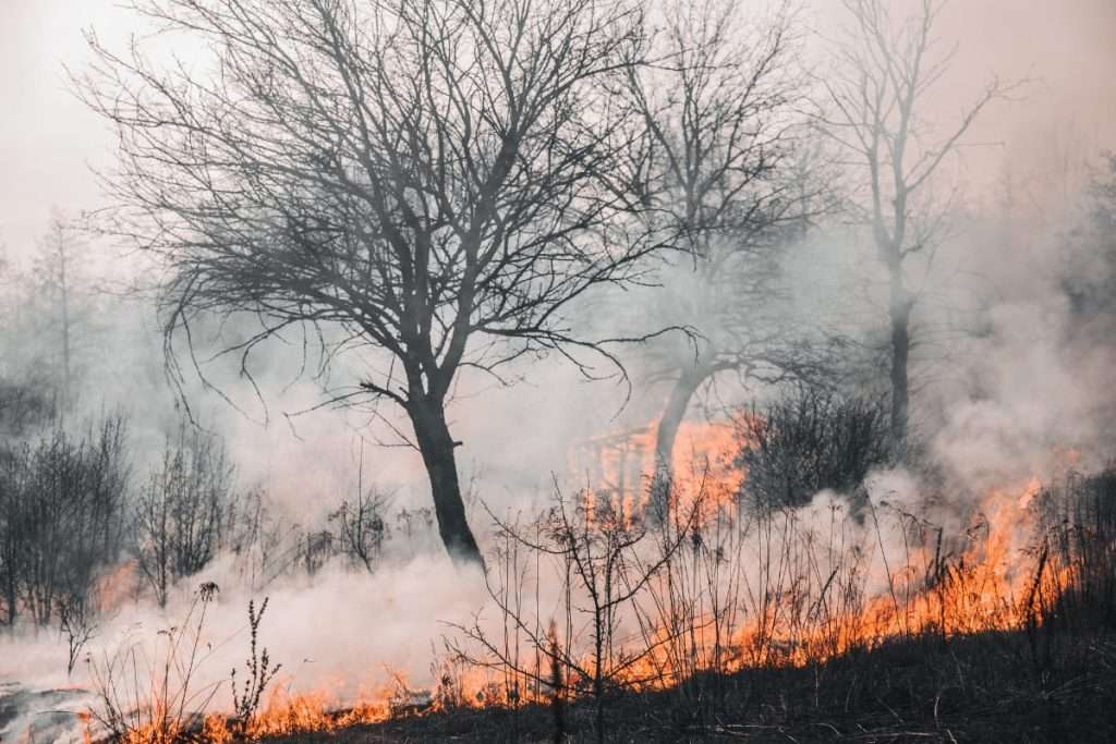 brand i mark - avtalsbrott