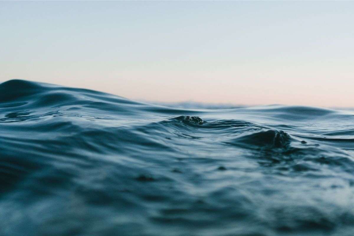 skadestånd PFAS