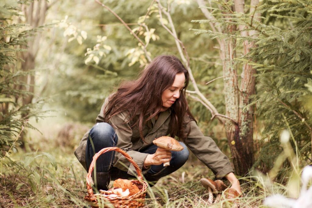 Kvinna plockar svamp
